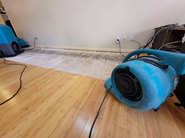 Professional Burst Pipe Water Damage technician working in Columbia, MS